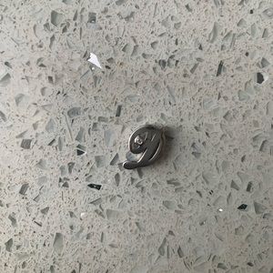 Bittersweet D Pendant